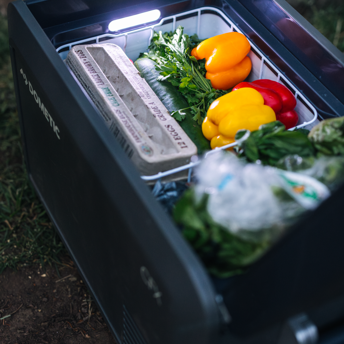 Dometic CFX5 35 Portable Fridge